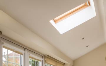 Cathedine conservatory roof insulation companies